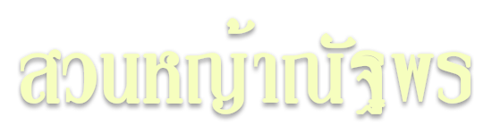 ขายหญ้าปูสนาม รับจัดสวน ทำสนามฟุตบอล | ไร่หญ้าณัฐพร.com